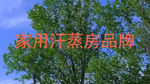 家用汗蒸房品牌