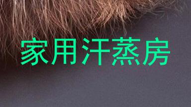 家用汗蒸房