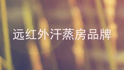 远红外汗蒸房品牌