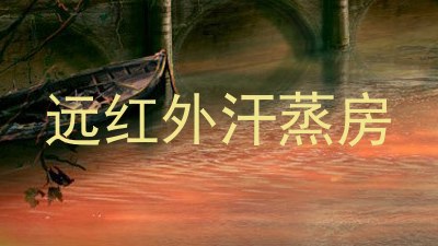 远红外汗蒸房