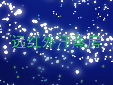 远红外汗蒸房