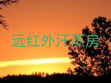 远红外汗蒸房