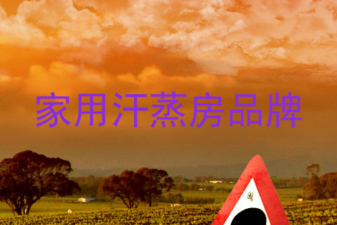 家用汗蒸房品牌
