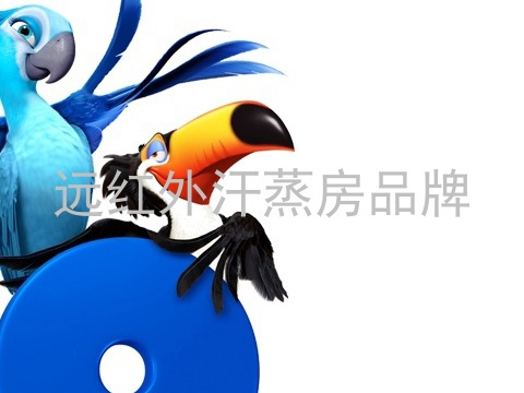 远红外汗蒸房品牌