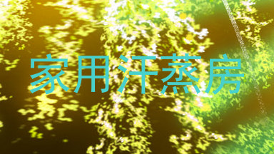 家用汗蒸房