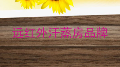 远红外汗蒸房品牌