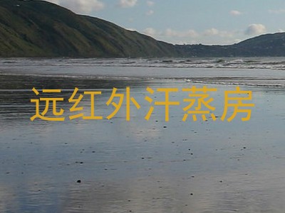 远红外汗蒸房