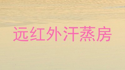 远红外汗蒸房