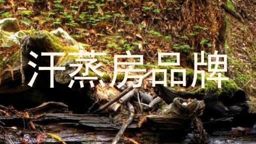 汗蒸房品牌