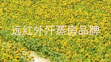 远红外汗蒸房品牌