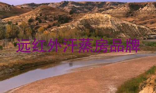 远红外汗蒸房品牌