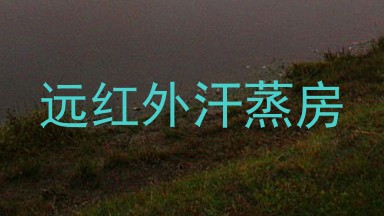 远红外汗蒸房