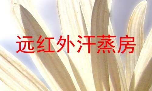 远红外汗蒸房