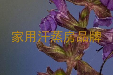家用汗蒸房品牌