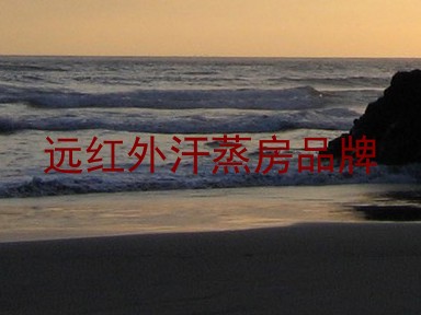 远红外汗蒸房品牌