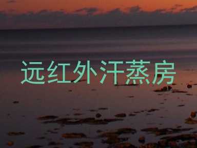 远红外汗蒸房