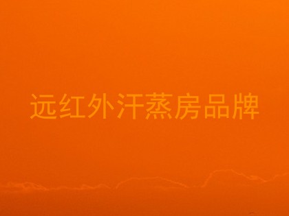 远红外汗蒸房品牌
