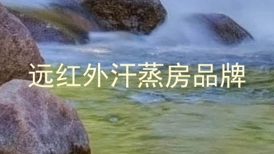 远红外汗蒸房品牌