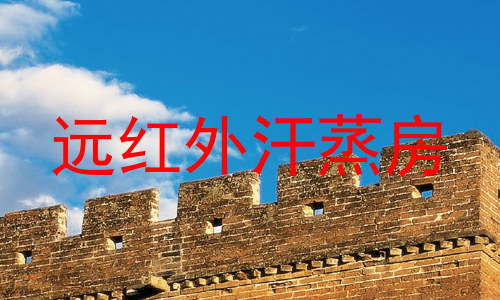 远红外汗蒸房