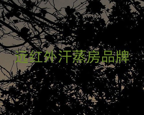 远红外汗蒸房品牌