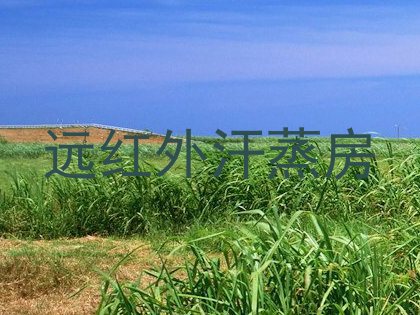 远红外汗蒸房