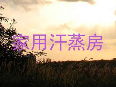 家用汗蒸房