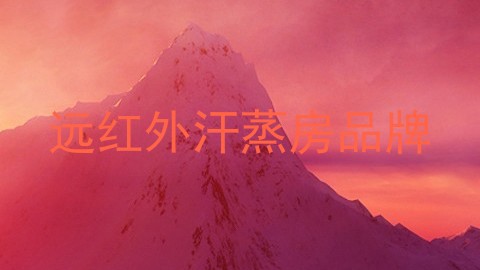 远红外汗蒸房品牌