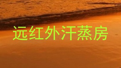 远红外汗蒸房