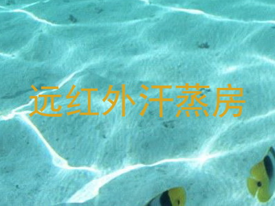 远红外汗蒸房