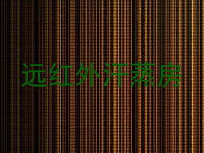远红外汗蒸房