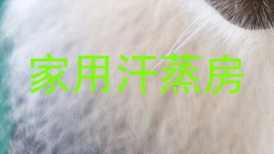 家用汗蒸房