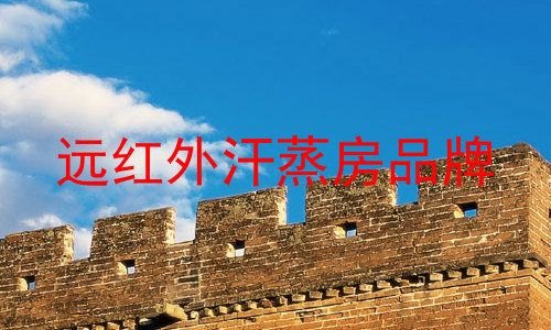 远红外汗蒸房品牌