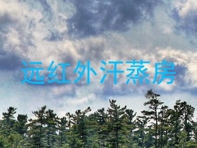 远红外汗蒸房