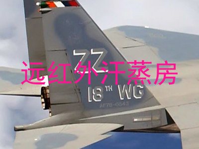远红外汗蒸房