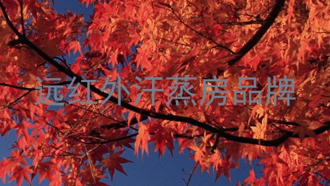 远红外汗蒸房品牌