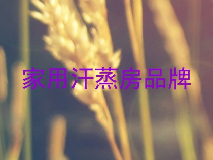 家用汗蒸房品牌