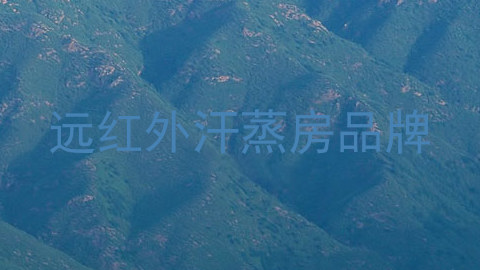 远红外汗蒸房品牌