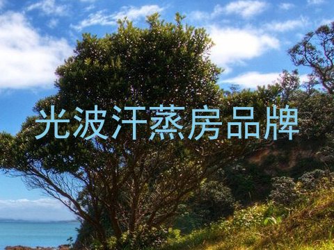 光波汗蒸房品牌