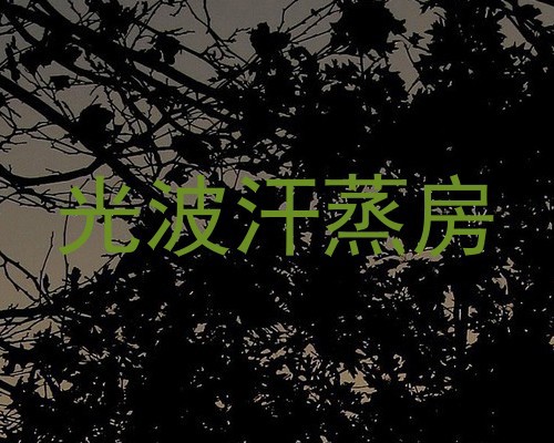 光波汗蒸房