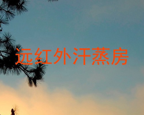 远红外汗蒸房