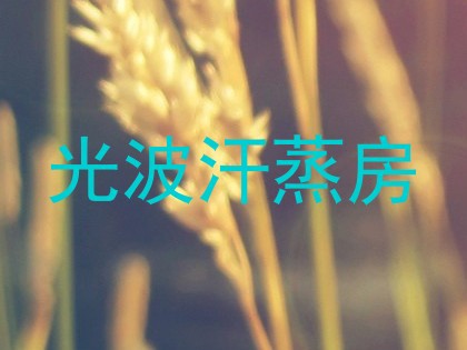 光波汗蒸房