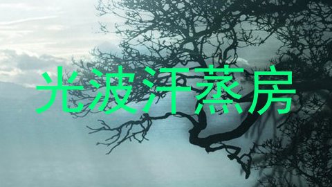 光波汗蒸房
