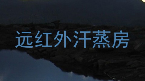 远红外汗蒸房