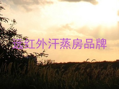 远红外汗蒸房品牌