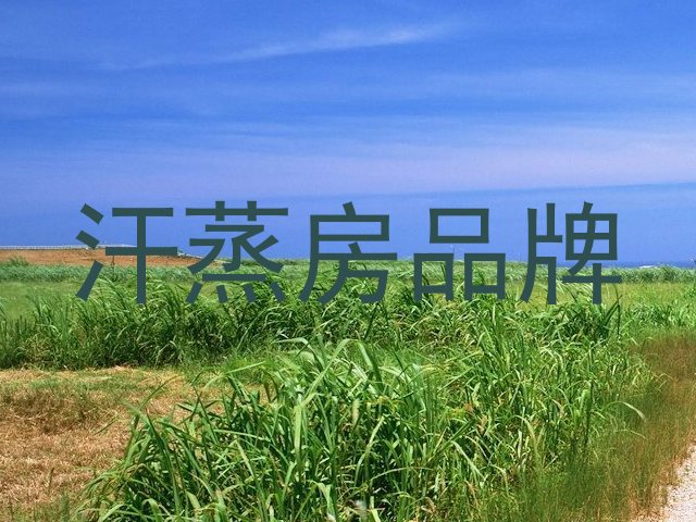 汗蒸房品牌