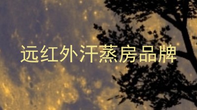 远红外汗蒸房品牌