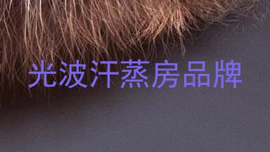 光波汗蒸房品牌