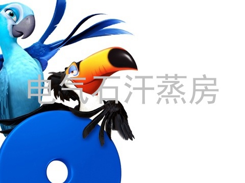 电气石汗蒸房