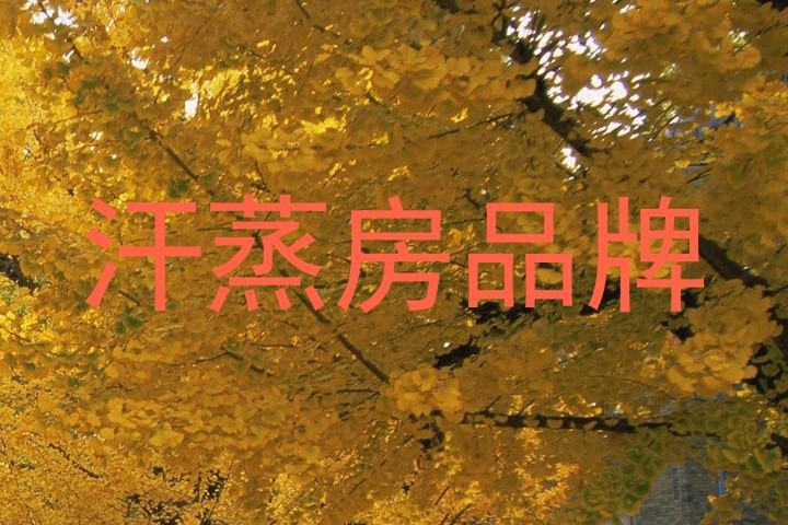 汗蒸房品牌