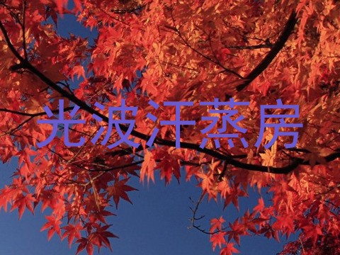光波汗蒸房